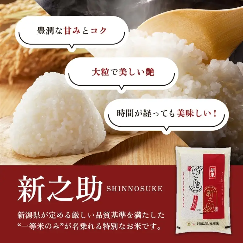 【最短3日発送】新之助 無洗米 上越産 10kg 精米 新之助