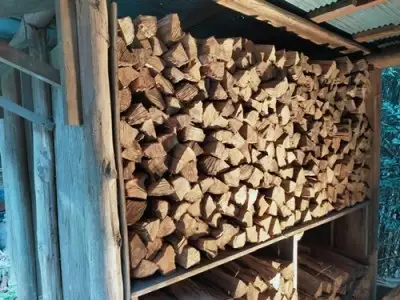 ウバメガシ 薪 約125kg マルモ 製炭所 / 薪