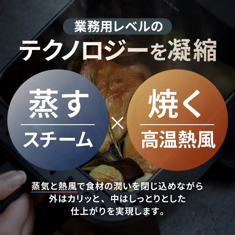 レコルト ハイスチームエアーオーブン ナチュラルブラック RAO-3(BK)  【223018】