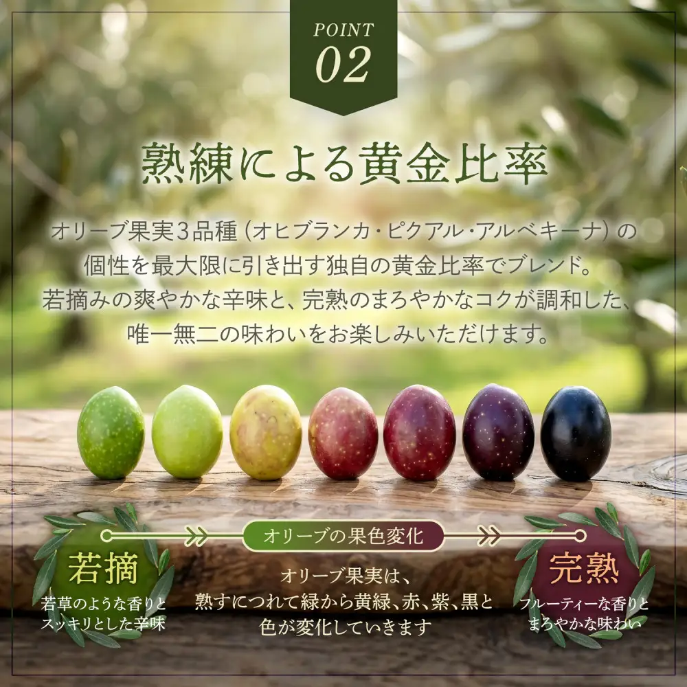 【定期便全6回】オーガニック　エキストラヴァージンオリーブオイル　500ml　2本セット