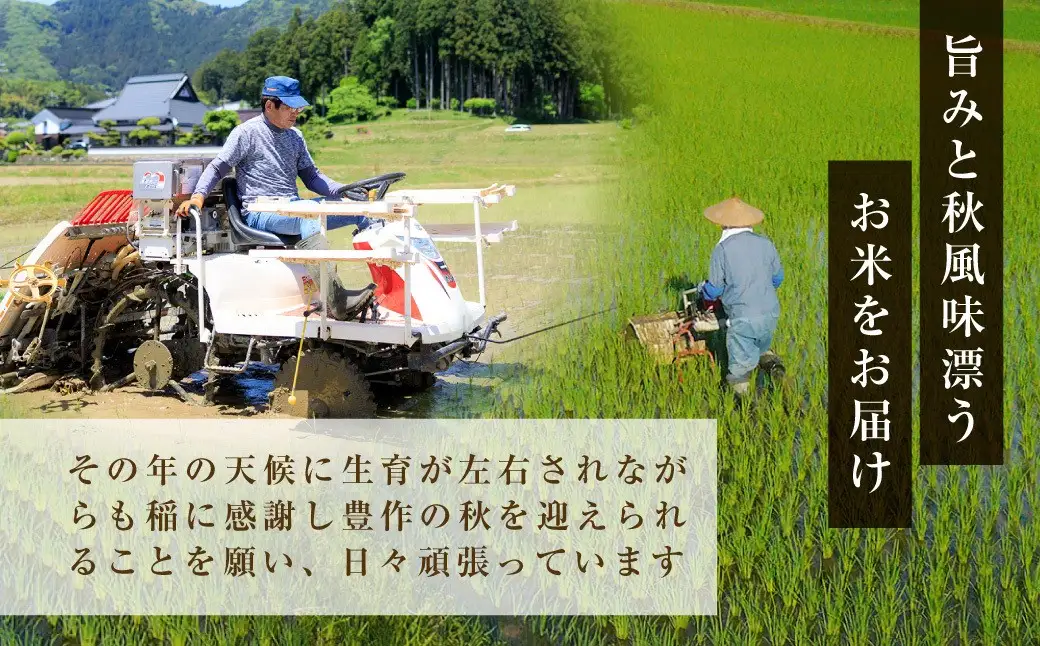 ＜姫髪の里＞京都産 こしひかり 無洗米 (5kg×2袋・計10kg) 米 コシヒカリ 10キロ