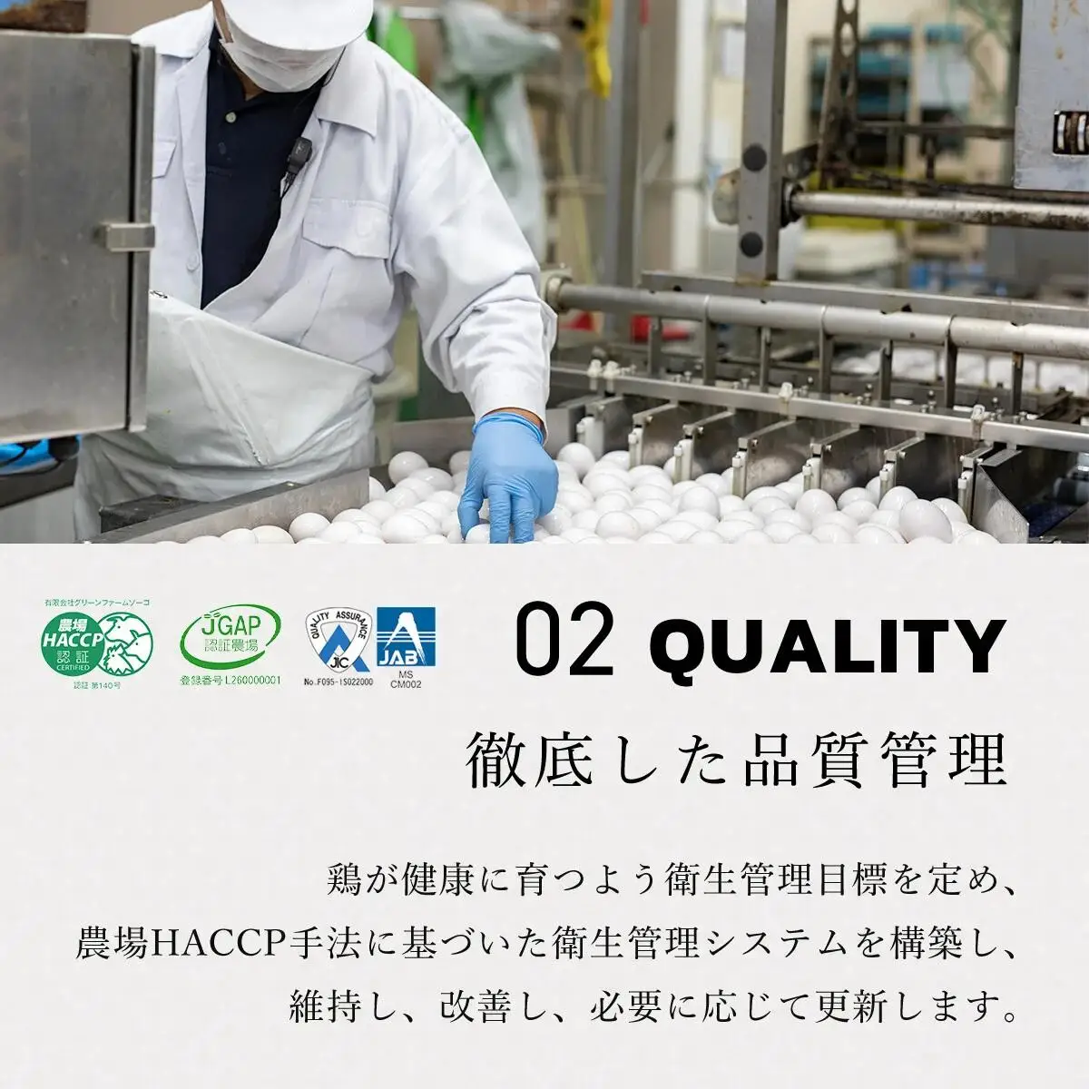 たまご 卵 卵どすえ 計30個 炭火串焼 灯志