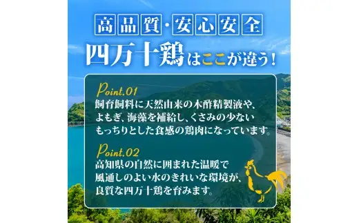 【定期便】 鶏もも肉 計3kg（1kg×3ヶ月連続お届け) 四万十鶏［(H)1794-2］