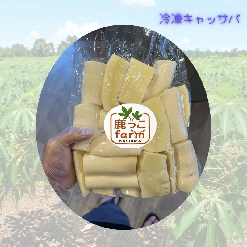 冷凍キャッサバ 1kg 数量限定 野菜 国産 産地直送 キャッサバ 茨城県