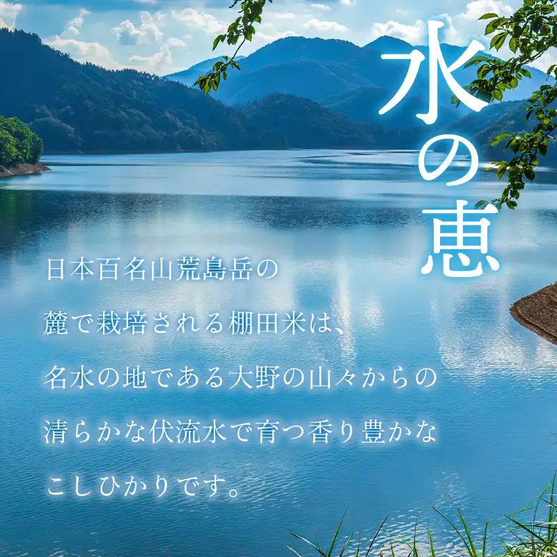 【令和8年産 新米】【3ヶ月定期便】越前大野産 一等米 帰山農園の棚田育ちコシヒカリ 5kg 白米