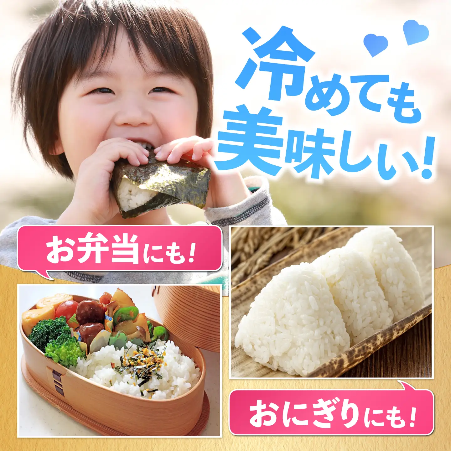 五つ星お米マイスター厳選！さがびより 白米 10kg（5kg×2袋） 吉野ヶ里町/大塚米穀店[FCW046]
