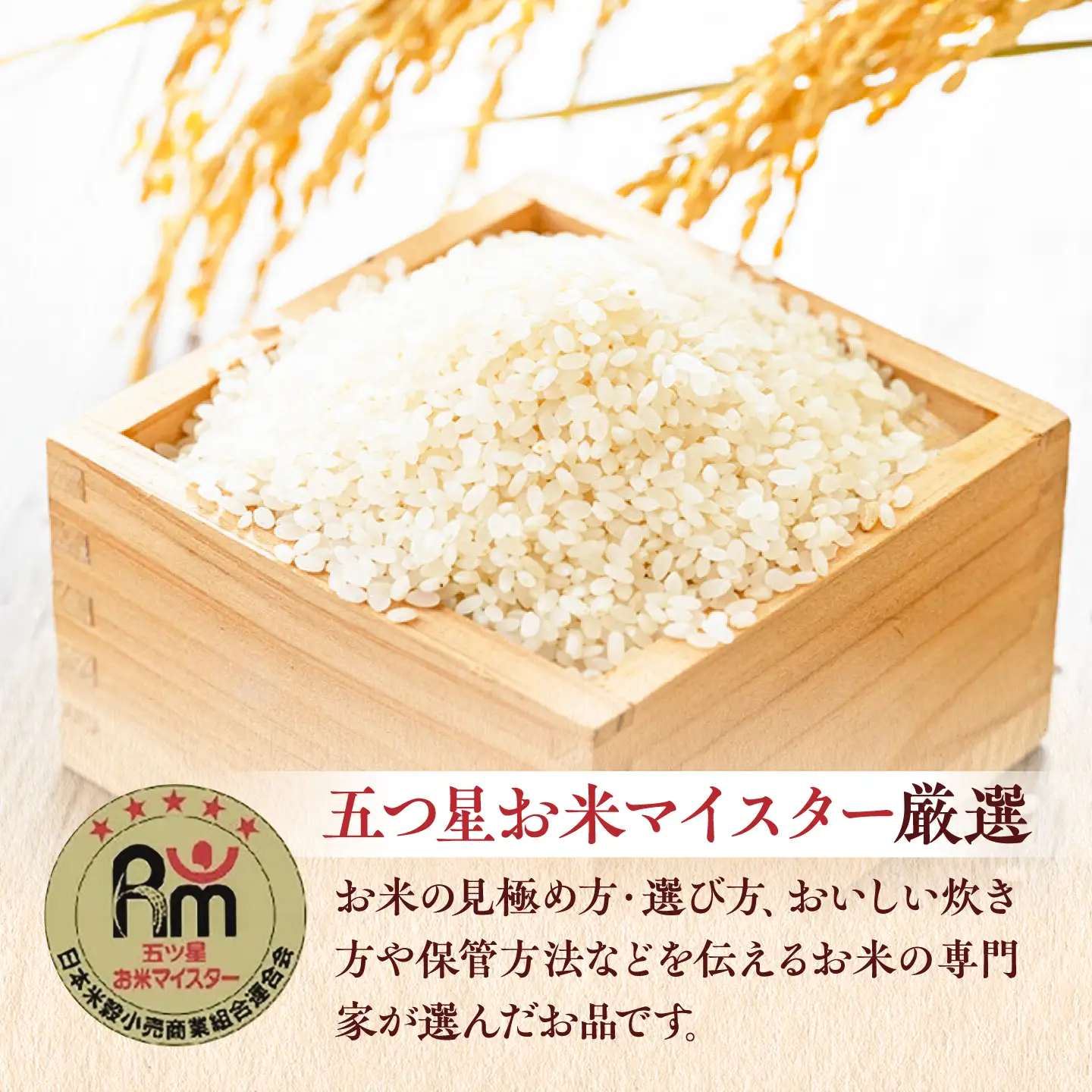 【新米｜先行予約｜9月下旬発送】 R8年産 夢しずく 白米 10kg（5kg×2袋） 吉野ヶ里町/大塚米穀店[FCW049]