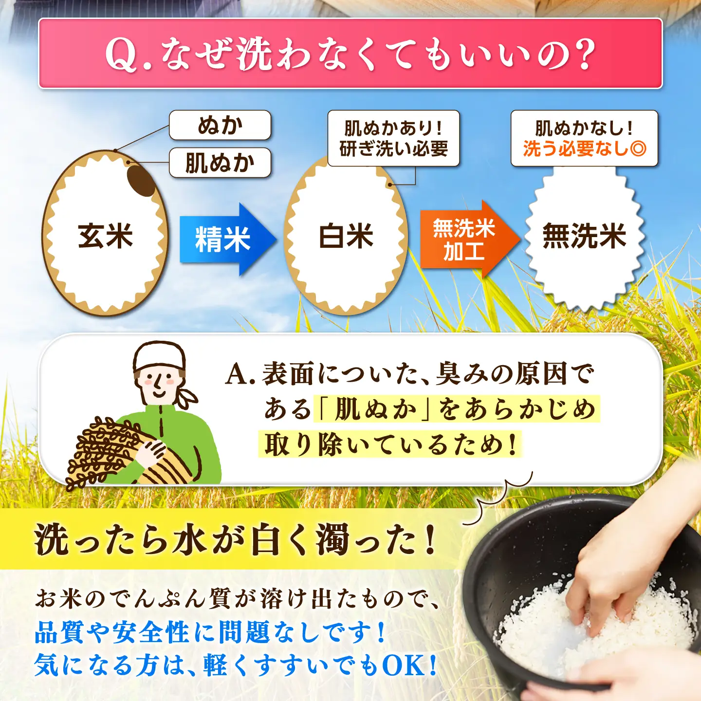 【新米｜9月下旬発送】 R8年産 夢しずく 無洗米 10kg（5kg×2袋） 吉野ヶ里町/大塚米穀店[FCW050]