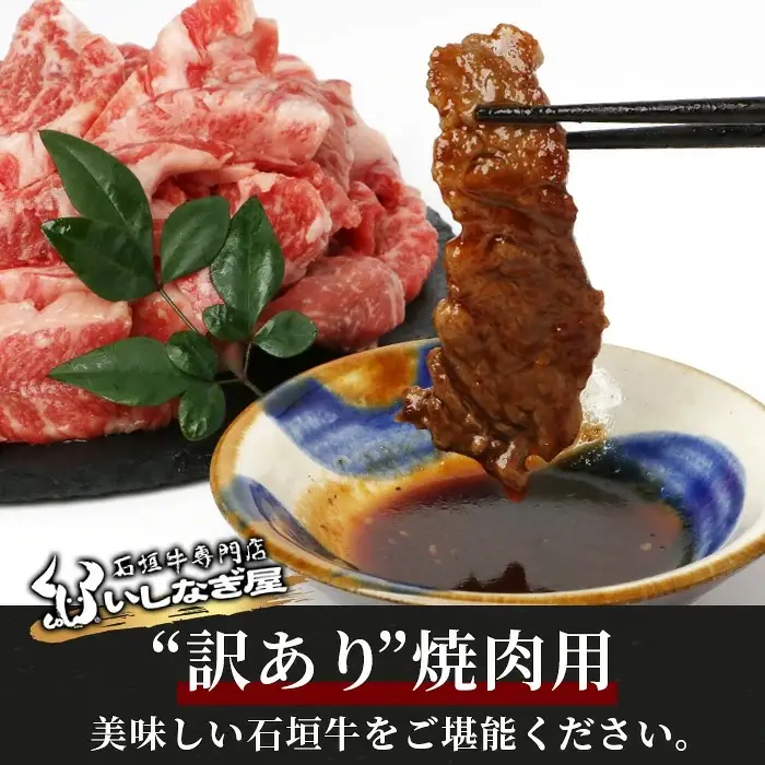 【定期便】《隔月全6回》【訳あり】石垣牛 焼肉用（不揃い）500g