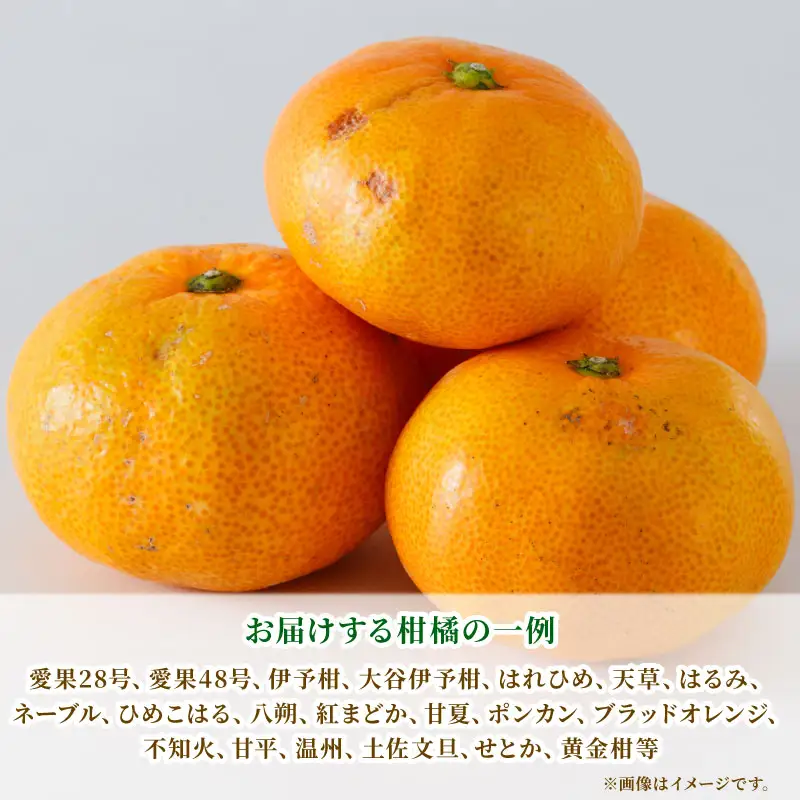 【みかん】訳ありみかん詰め合わせ約4kg矢野青果|B006-171048