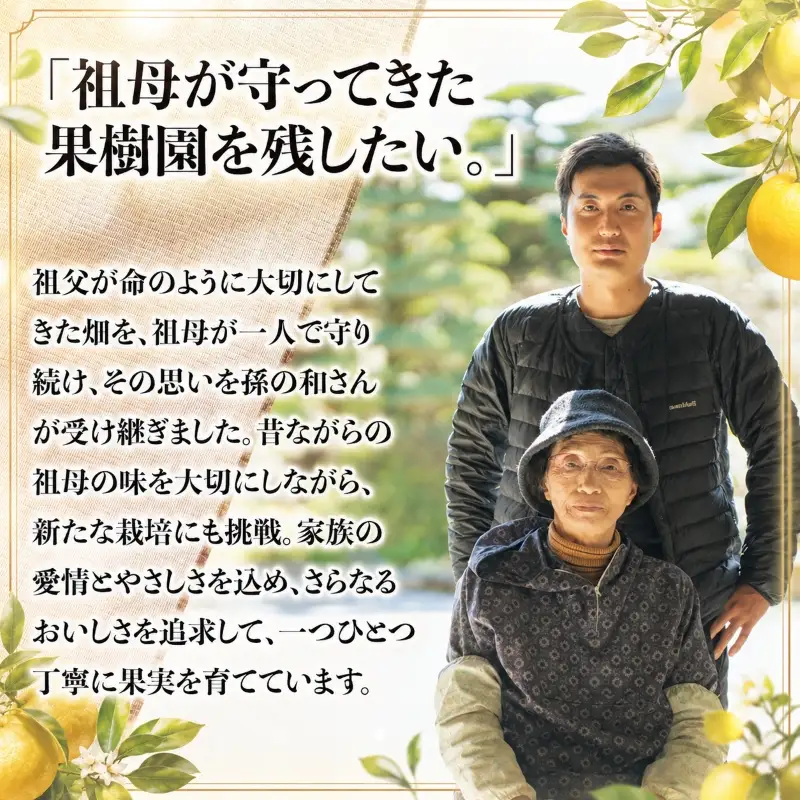 【訳あり】文旦 10kg L～4L 土佐文旦 大北果樹園