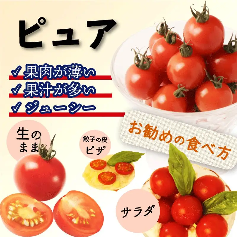 ミニトマト２種 【800ｇ×2種/計1.6㎏ 】 ミニトマト２種 盛岡市 賢治の土株式会社 kenji001 