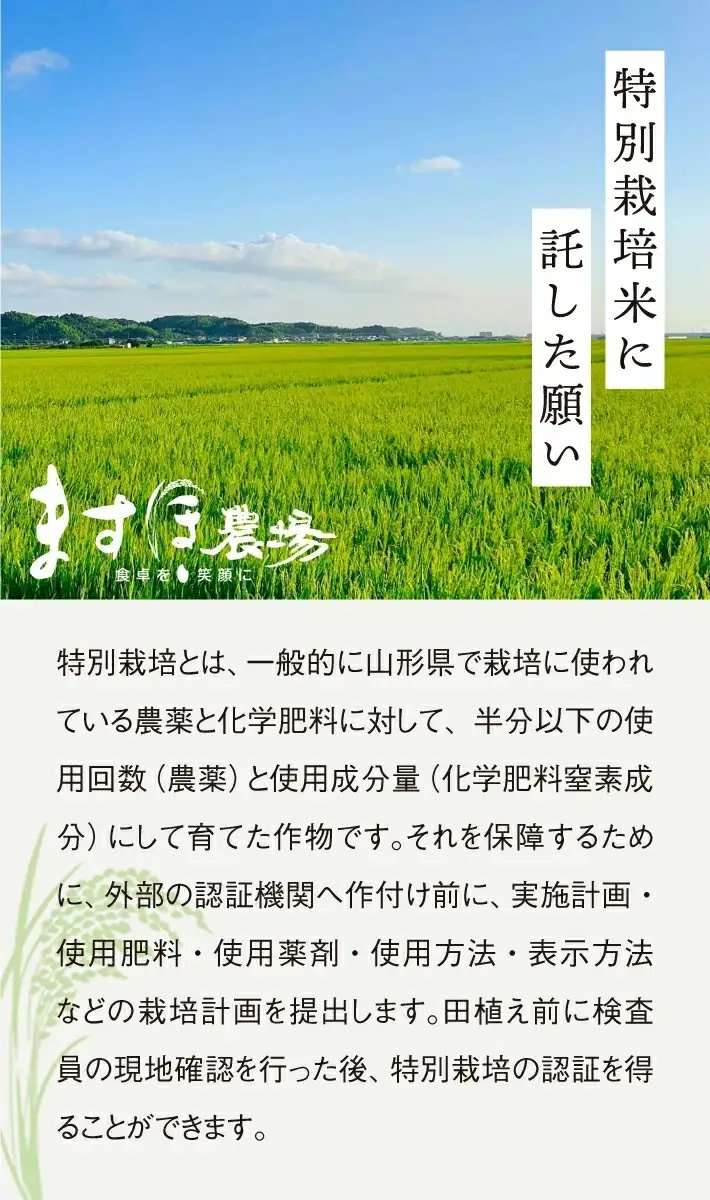 SB1012　11月上旬配送／令和8年産【玄米】　特別栽培米『はえぬき』 10kg(5kg×2袋)［減農薬・減化学肥料］ MA