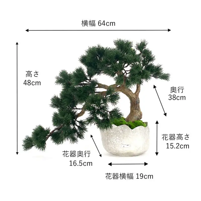 BONSAI  2L26-b TUTGA-81400