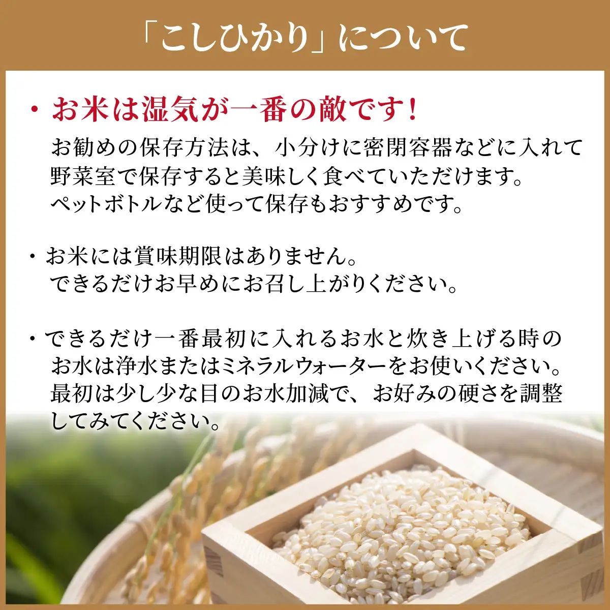 玄米 南さんちのこしひかり 4kg 玄米 【令和8年産】【有機JAS認証米】