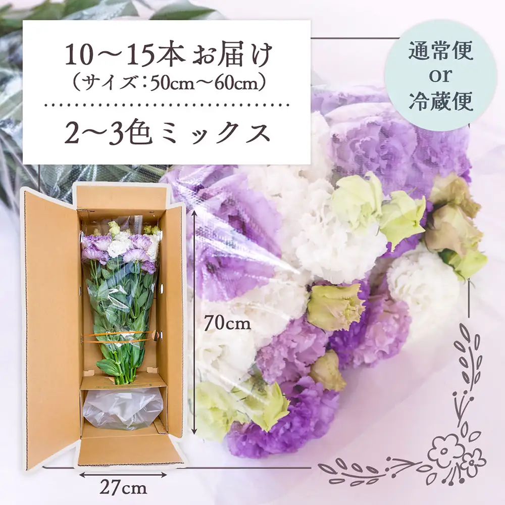 【R8.9月下旬から11月初旬】トルコキキョウ 10本から15本 切り花 生産者おまかせ 2~3色ミックス 白 紫 緑 トルコギキョウ 秋限定 仏花 結婚祝い 旬の花 季節の花 八重咲き フリンジ咲き 花 生花 花束 冷蔵便 国産 庄内町フラワーラボ