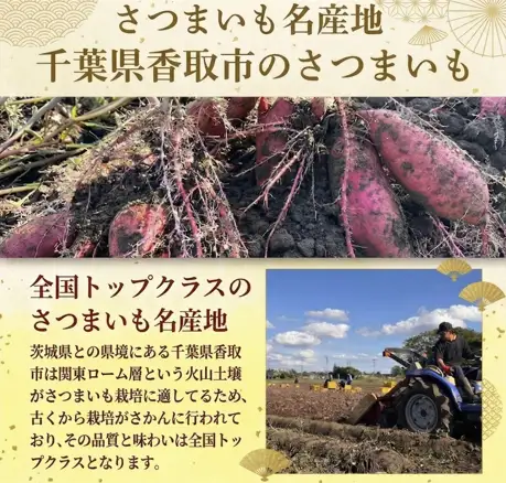 さつまいも サツマイモ 紅はるか 訳あり 12kg SDK001