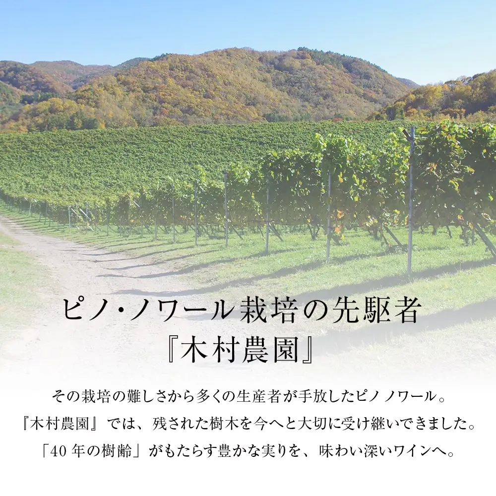 北ワイン ピノノワール 2022 プライベートリザーブ 1本