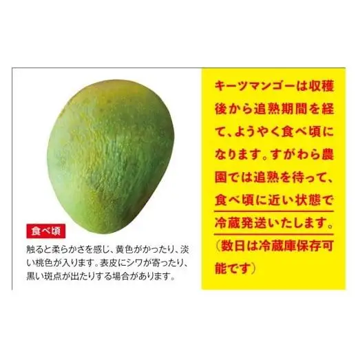 《2026年発送》宮古島すがわら農園 【訳あり】 キーツマンゴー ２玉（FR010）