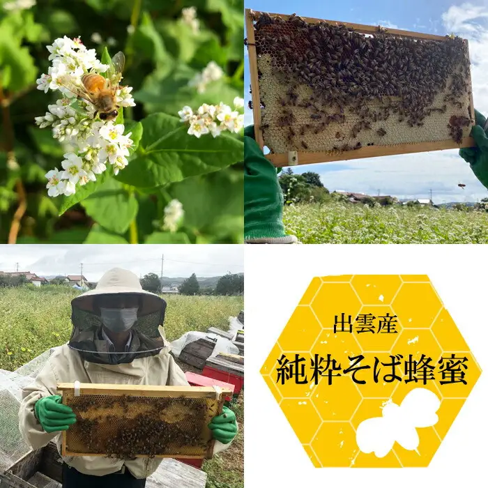 神の国 出雲産 純粋そば蜂蜜 120ｇ×2瓶 合計240ｇ
