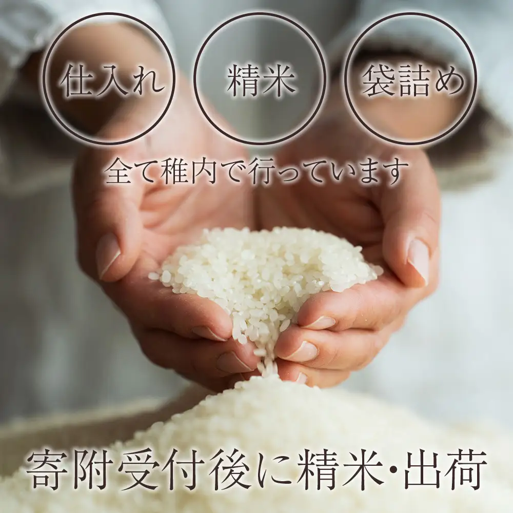【令和7年産】北海道産ゆめぴりか 5kg【配送不可地域：離島・沖縄県】