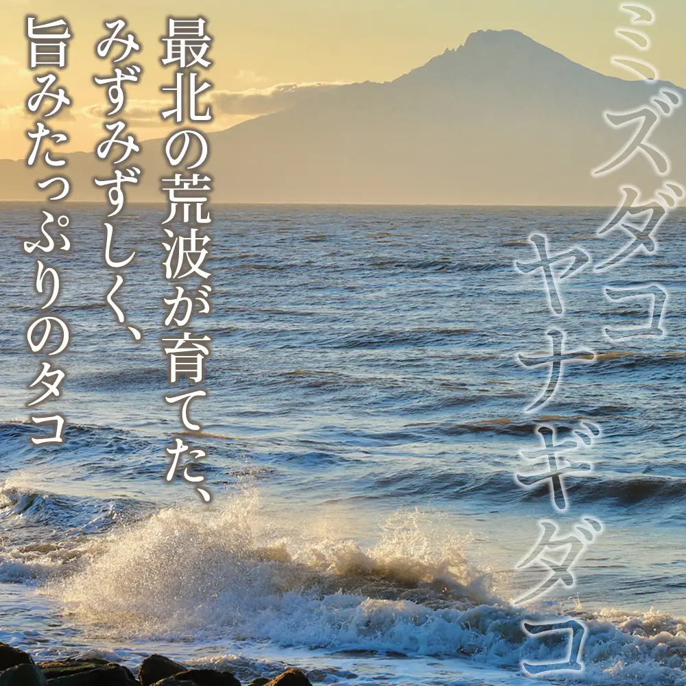 【宗谷の海味】蛸の魅力詰め合わせセット(たこしゃぶ たこザンギ)【配送不可地域：離島・沖縄県】