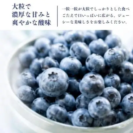冷凍ブルーベリー2kg(500g×4パック)【配送不可地域：離島】【1761153】