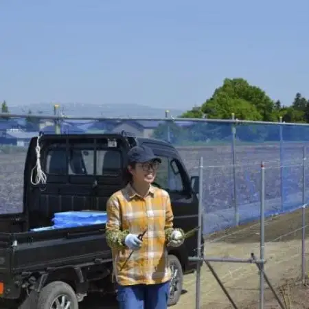 令和8年 山形県川西町産 雪国朝採れアスパラガス(夏)　L～2L サイズ　500g【配送不可地域：離島・北海道・沖縄県・信越、北陸・近畿・中国・四国・九州】【1764664】