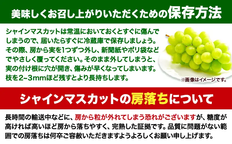 【おすそわけ便】シャインマスカット 計約2.6kg (約1.3kg(2-3房)×2箱)