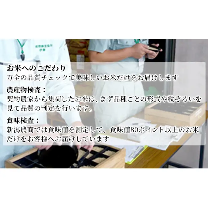 【先行予約】R8年産新潟産新之助 2kg×2 お米 精米 白米 ご飯 ブランド米 銘柄米 おにぎり お弁当 産地直送