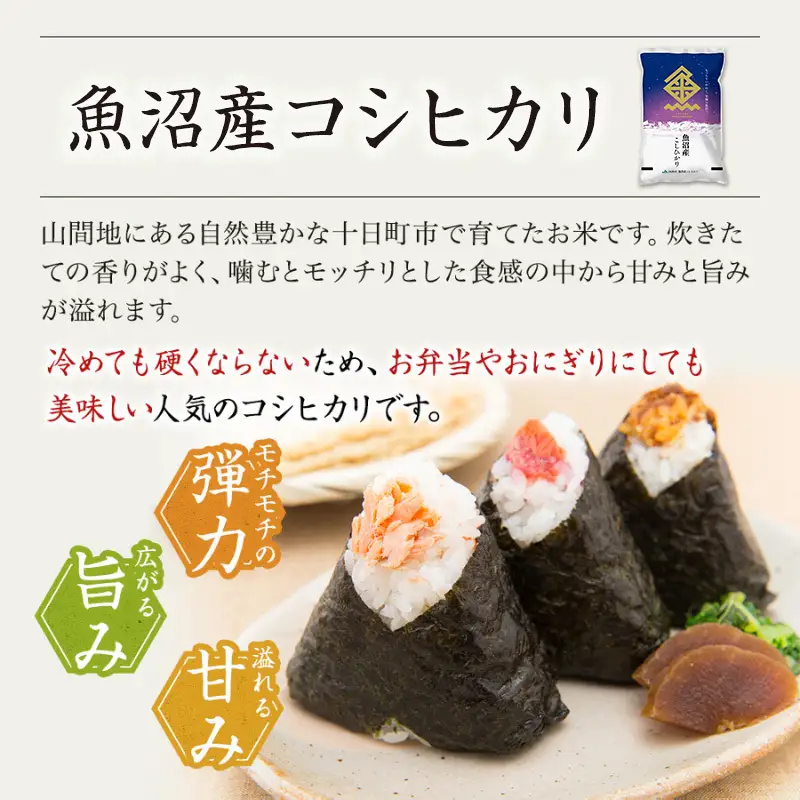 【令和8年産 先行予約】【3ヶ月定期便】魚沼産こしひかり 棚田米(十日町地域) 精米 10kg(5kg×2) 米 お米 コシヒカリ 定期 十日町市