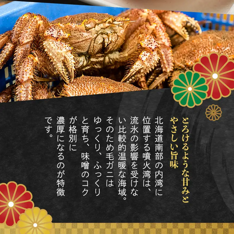 北海道産 冷凍ボイル毛ガニ 300g前後×5尾  mr1-1437