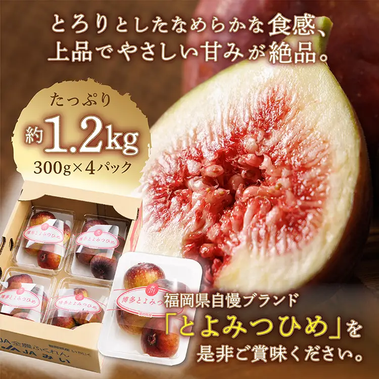 福岡県ブランド いちじく 「とよみつひめ」約1.2ｋｇ(約300ｇ×4パック)  | 無花果 イチジク 美容 ジャム 旬 果物 フルーツ 生 旬 朝ごはん 朝食 デザート お取り寄せ 送料無料 福岡県産 国産 東峰村  3S2-S