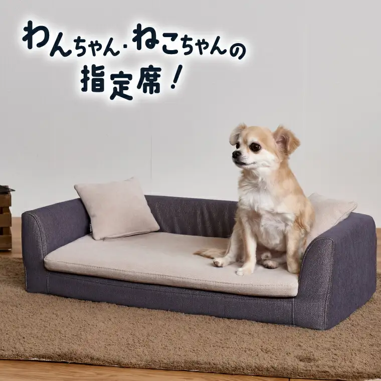 blocco ペット用品 洗えるペット用ソファ（ダークブラウン） | ブロッコ ペットソファ インテリア 北海道 石狩市