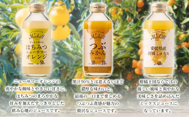 ＜Michill 3品種 175ml×計12本＞『最短10営業日以内に発送予定』愛媛県産 西宇和 つぶ入り ミックス ジュース はちみつ 日向夏 国産 みかん 蜜柑 ミカン 果汁入り飲料 セット 詰合せ 小林果園 愛媛県 西予市 【常温】OKE0009