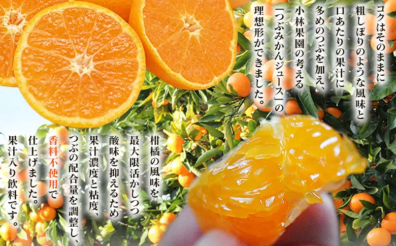＜Michill つぶみかん 175ml 12本＞『最短10営業日以内に発送予定』愛媛県産 西宇和 つぶ入り ジュース 国産 みかん 蜜柑 ミカン 果汁入り飲料 セット 詰合せ 小林果園 愛媛県 西予市 【常温】OKE0011