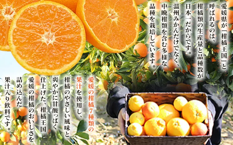 ＜Michill愛媛県産柑橘ミックス 175ml 12本＞『最短10営業日以内に発送予定』愛媛県産 西宇和 ミックスジュース 国産 みかん 蜜柑 ミカン 果汁入り飲料 セット 詰合せ 小林果園 愛媛県 西予市 【常温】OKE0013