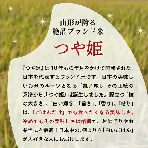 【11月下旬発送】令和8年産 つや姫 5kg 米 精米 山形