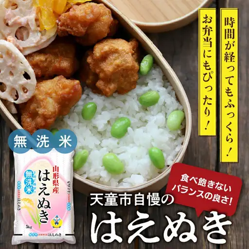 【10月下旬発送】令和8年産 はえぬき 無洗米 10kg 米 山形