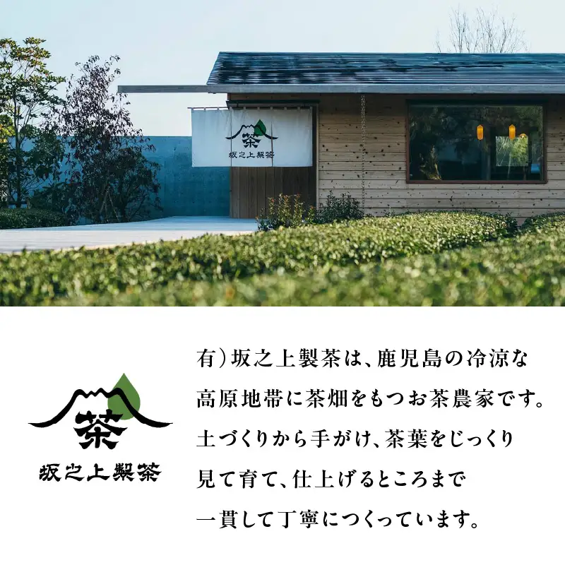 しょうが紅茶 K388-007 しょうが紅茶 紅茶 べにふうき 生姜 ショウガ