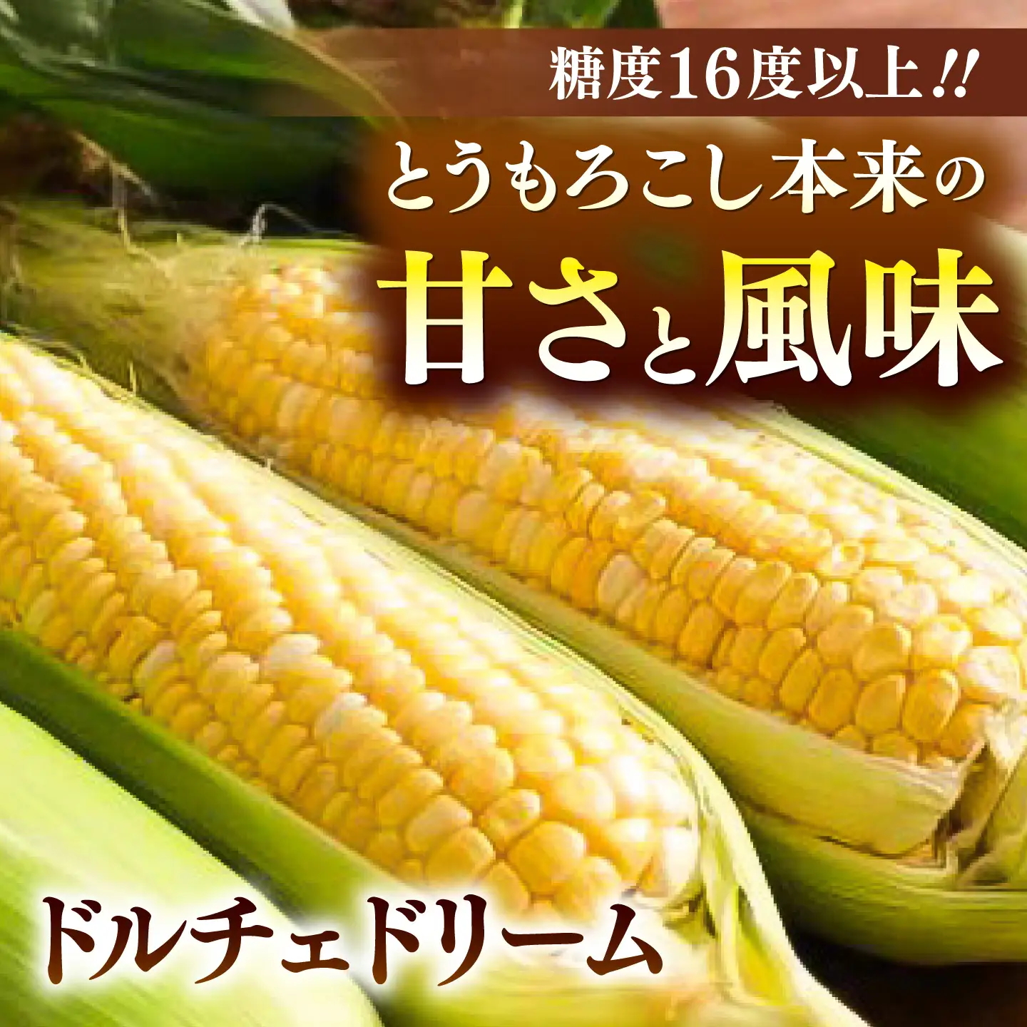 先行予約 2027年5月下旬より順次発送 スイートコーン(ドルチェドリームとプレミアム味来) 食比べ スイートコーン BHCJ006