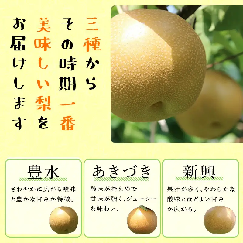 FKP9-721 【先行予約】【訳あり】一勝地梨 小玉 約5kg