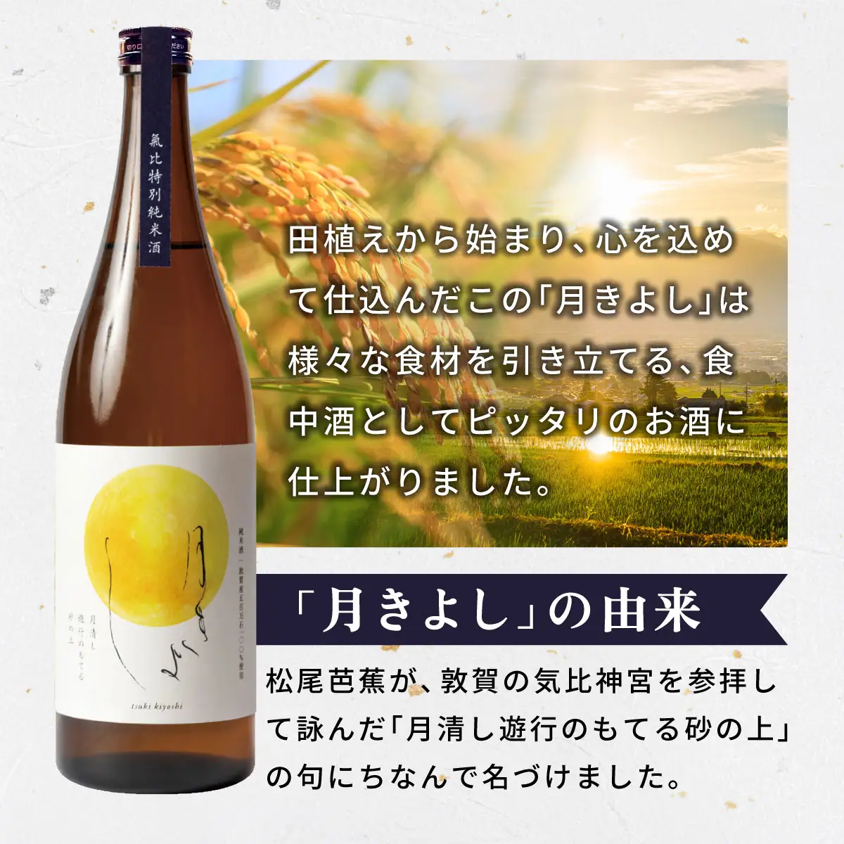 ＜先行予約＞【11月発送】『 敦賀ふぐ 1尾分(約600g)  & 敦賀市地酒 月きよし720ml ×1本 』[000-a001]