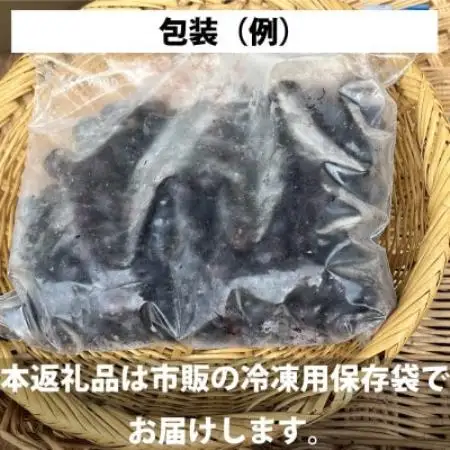 冷凍 ブルーベリー 1kg 岩手県 遠野市 砥森山ブルーベリー園 栽培期間中農薬不使用 遠野食工房蔵【配送不可地域：離島】【1583534】