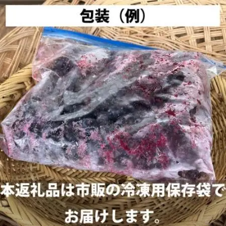 訳あり 冷凍 ブルーベリー 1kg 岩手県遠野市 遠野食工房蔵【配送不可地域：離島】【1583536】