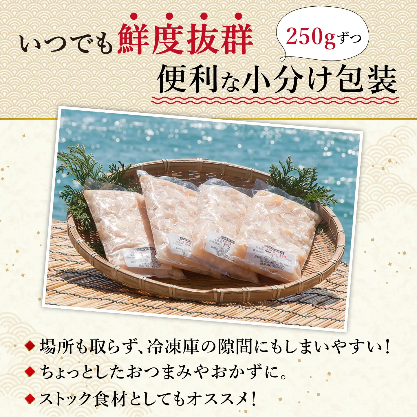 アコヤ貝 貝柱 750g JCJ025