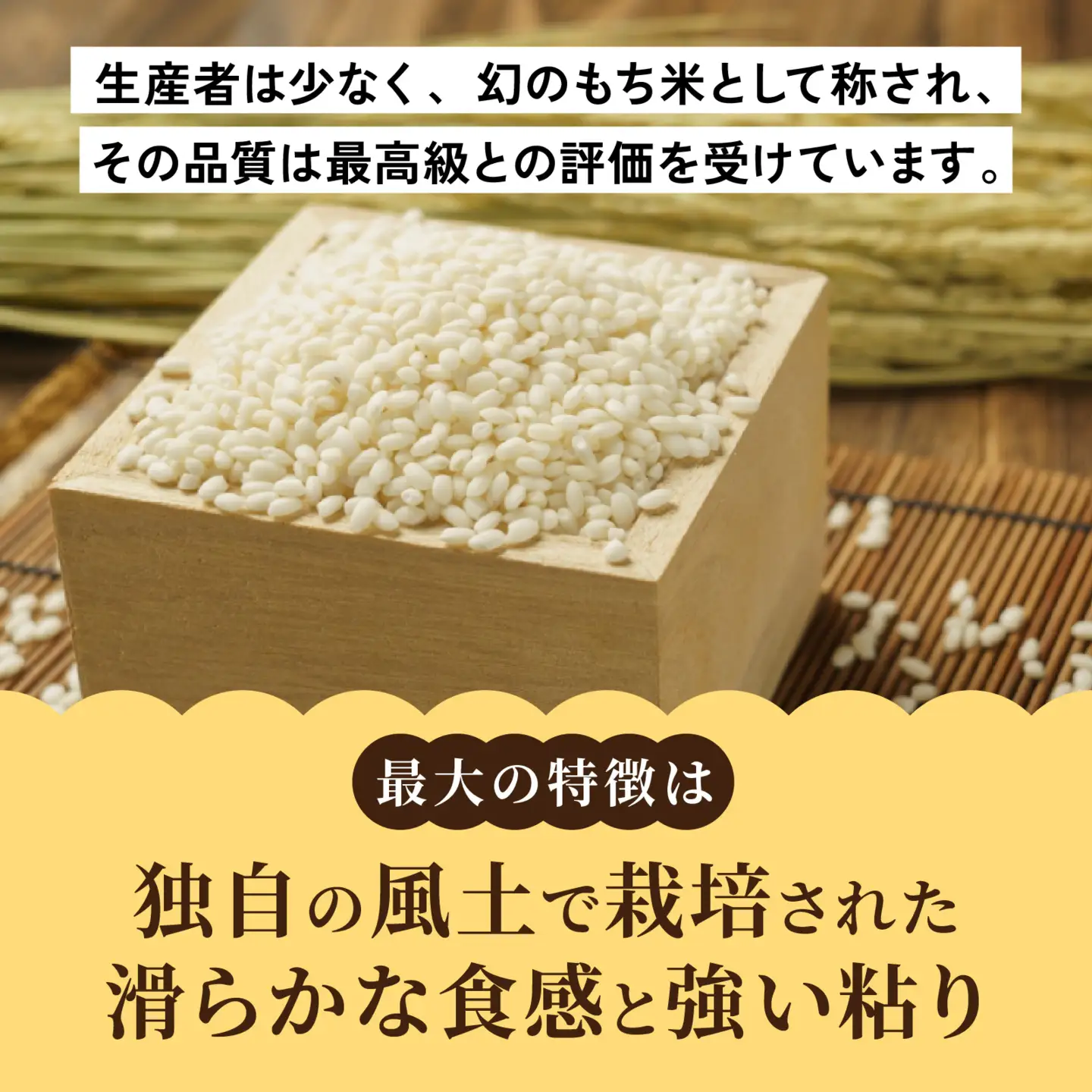 【先行予約】 上庄の里芋洗い子とたんちょうもち【12月セット】里芋 餅 年末