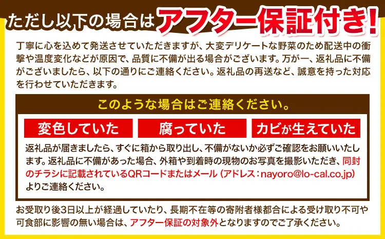 訳あり 極甘 ゴールドラッシュ ホワイト 混合 とうもろこし 10本 ～ 12本 北海道 名寄