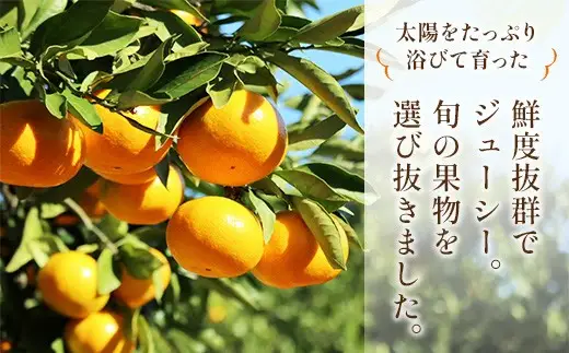 ＜ R8年熊本地震復興支援 ＞【 10ヶ月定期便 】 プロが選ぶ！ 旬の果物定期便 くだもの 果物 フルーツ 果実 果汁 果肉 国産 熊本県産 定期配送 定期 旬の果物 旬 甘味 季節 【 2027年1月上旬～10月下旬発送予定 】