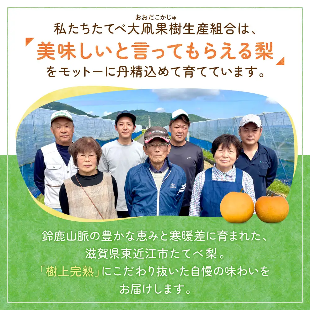 【期間限定】《2026年8月31日まで》たてべ梨 たてべ大凧果樹生産組合 滋賀県 東近江市 A-D28 梨 フルーツ 果物 和梨 完熟 豊水 南水 あきづき 5kg 旬